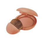 رژ گونه اُه مای ماکسی بلاش آرکانسیل 005 ARCANCIL OH MY MAXI BLUSH
